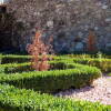 Árboles secos junto a arbustos ornamentales