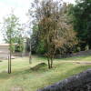 Arboles y prado con montón de hierba cortada