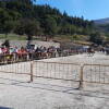 Feria de Ganado