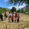 Feria de ganado en el Teso de la feria de Béjar