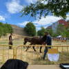 Feria de ganado en el Teso de la feria de Béjar