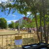Feria de ganado en el Teso de la feria de Béjar