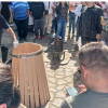 Fiesta de la vendimia en San Martin del Castañar, fabricando un barril