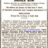 Articulo El Bosque de Béjar