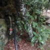 El Bosque de Béjar