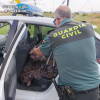 Guardia Civil interviniendo cableado robado y herramientas en el vehículo de los detenidos en Ávila
