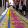 Alfombra de Sal