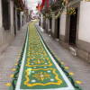 Alfombra de sal en Béjar