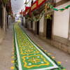Procesión Hombres de Musgo