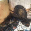 Inmueble afectado por el incendio en Béjar