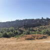 Zona quemada por las llamas del incendio