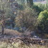 Fuego extinguido en el entorno de la fuente del Lobo