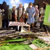 Manifestación sanidad en Béjar