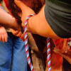 matanza-sotoserrano-2007-7.jpg