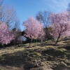 Zona de Merendero en El Regajo, Béjar