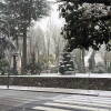 Parque municipal