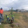 cuadro jóvenes plantando un arbol