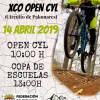 Cartel anunciador de la actividad