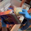 Material incautado operación antidroga en Salamanca