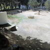 Vista parcial del parque canino ubicado junto a la iglesia de Los Pinos