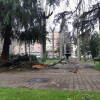 Daños del temporal parque municipal