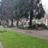 Daños del temporal parque municipal