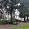 Daños del temporal parque municipal
