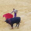 Pase Natural de EL Cordobés en la corrida de toros del Día de la Virgen del Castañar de Béjar