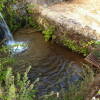 El Bosque de Béjar