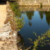 El Bosque de Béjar