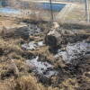 Zona encharcada y degradada del parque canino de Los Pinos en Béjar