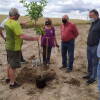 Varias personas plantando un árbol