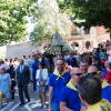 Romería de la Virgen del Castañar