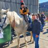 Los animales fueron protagonistas durante el evento