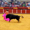 toros-bejar-201809-10.jpg