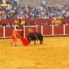 toros-bejar-201809-12.jpg