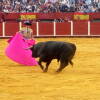 toros-bejar-201809-14.jpg
