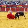 toros-bejar-201809-15.jpg