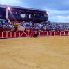 toros-bejar-201809-2.jpg