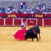 toros-bejar-201809-20.jpg
