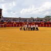 toros-bejar-201809-4.jpg