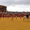 toros-bejar-201809-5.jpg
