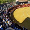 toros-bejar-201909-18.jpg