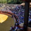 toros-bejar-201909-19.jpg