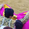 toros-bejar-201909-8.jpg