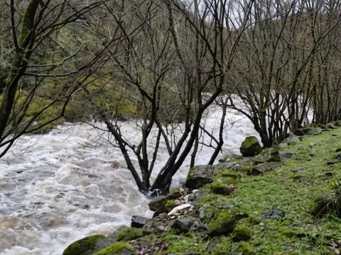 Crecida del río Cuerpo de Hombre a su paso por Béjar durante el temporal, con fuerte caudal y agua desbordando los margenes