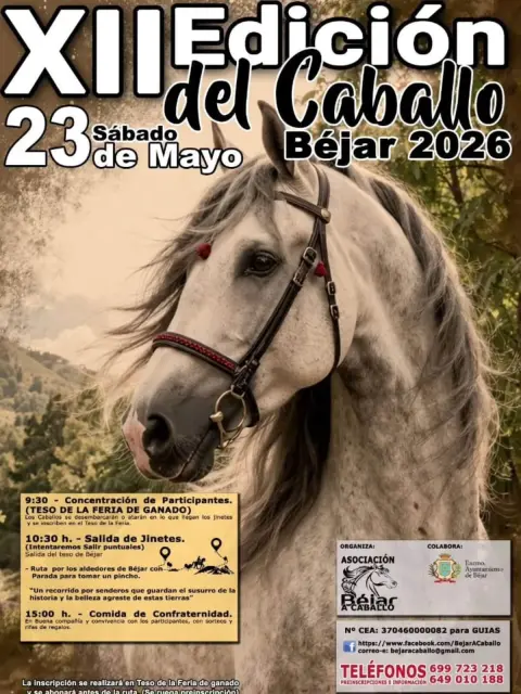 Cartel de la XII Edición del Caballo en Béjar 2026 con imagen de un caballo y programa del evento