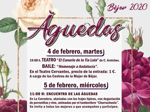 Vista parcial del Cartel anunciador de la actividad