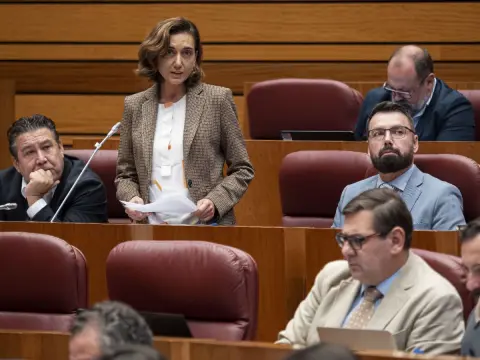 Alicia Gallego, UPL