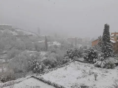 Bejar nevada